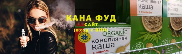 индика Кинешма